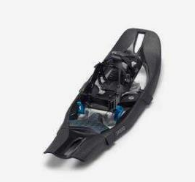 Snowshoe