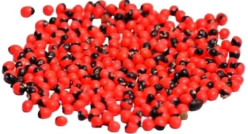 Seeds